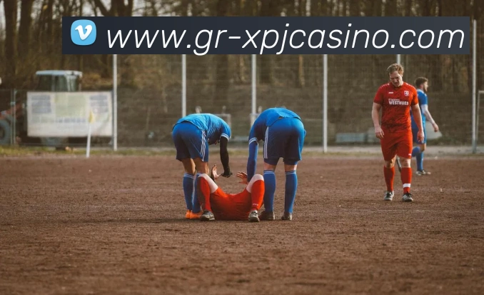 新葡京娱乐APP 封面图